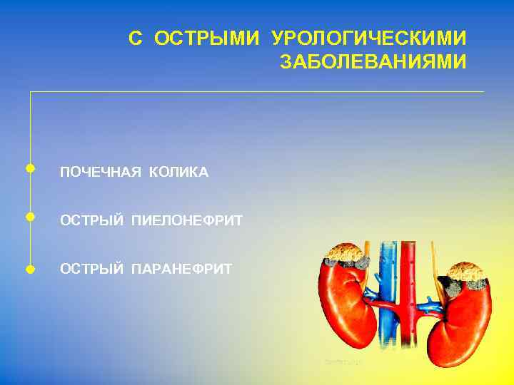 С ОСТРЫМИ УРОЛОГИЧЕСКИМИ ЗАБОЛЕВАНИЯМИ ПОЧЕЧНАЯ КОЛИКА ОСТРЫЙ ПИЕЛОНЕФРИТ ОСТРЫЙ ПАРАНЕФРИТ 