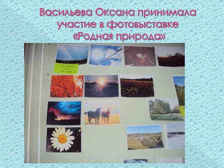 Васильева Оксана принимала участие в фотовыставке «Родная природа» 