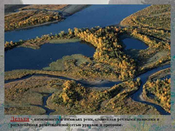 Дельта реки Дельта - низменность в низовьях реки, сложенная речными наносами и расчленённая разветвлённой