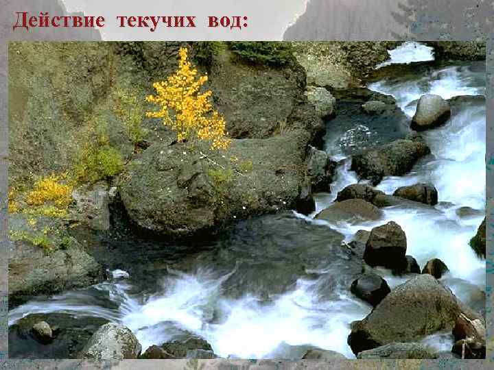 Действие текучих вод: Действие текучих вод 