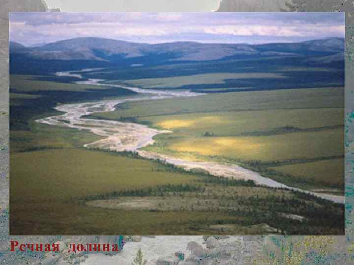 Речная долина 