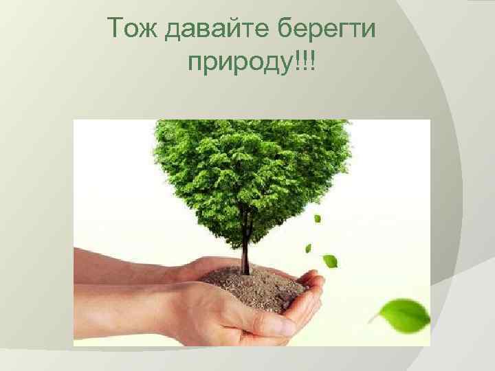 Тож давайте берегти природу!!! 