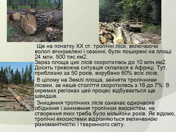  Ще на початку ХХ ст. тропічні ліси, включаючи вологі вічнозелені і сезонні, були