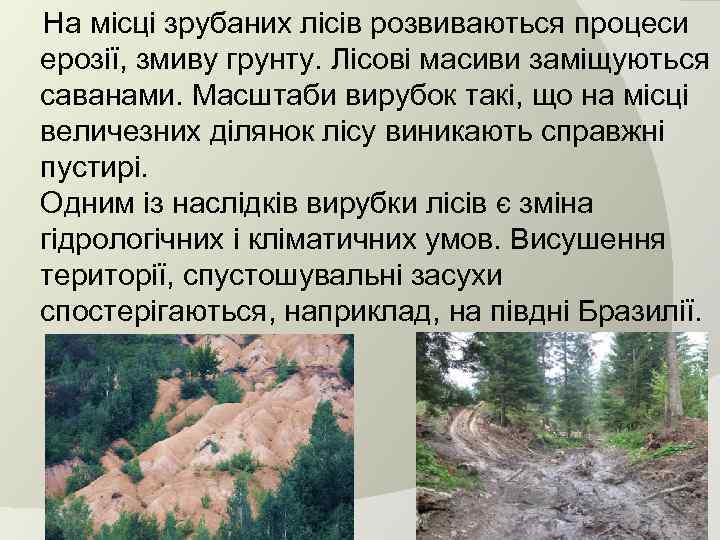  На місці зрубаних лісів розвиваються процеси ерозії, змиву грунту. Лісові масиви заміщуються саванами.