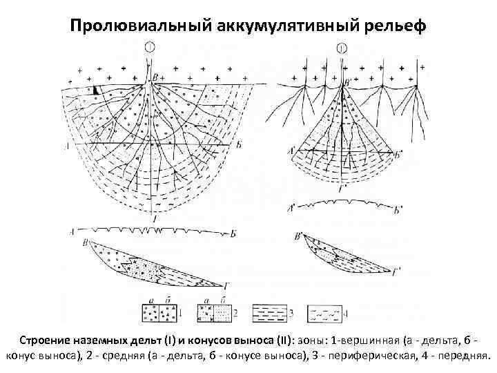 Пролювиальный аккумулятивный рельеф Строение наземных дельт (I) и конусов выноса (II): зоны: 1 -вершинная