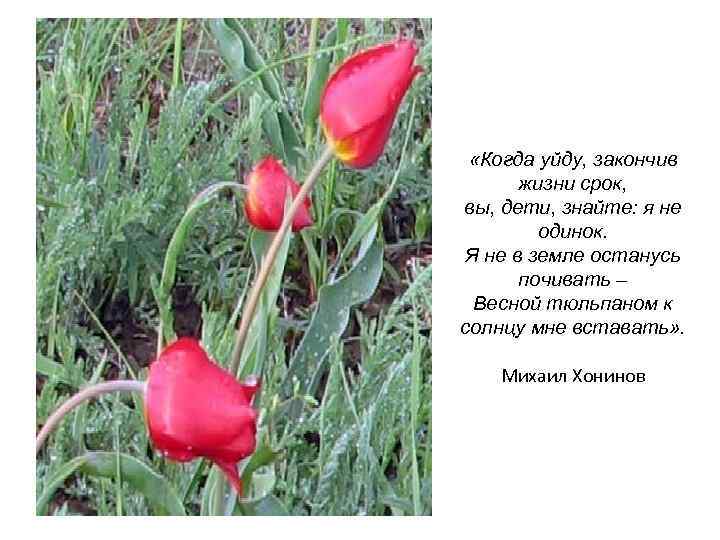  «Когда уйду, закончив жизни срок, вы, дети, знайте: я не одинок. Я не