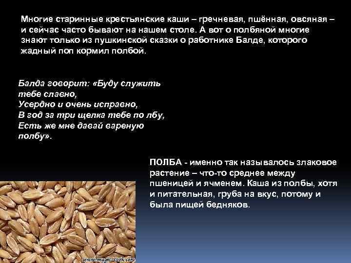 Многие старинные крестьянские каши – гречневая, пшённая, овсяная – и сейчас часто бывают на