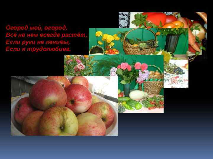 Огород мой, огород, Всё на нем всегда растёт, Если руки не ленивы, Если я