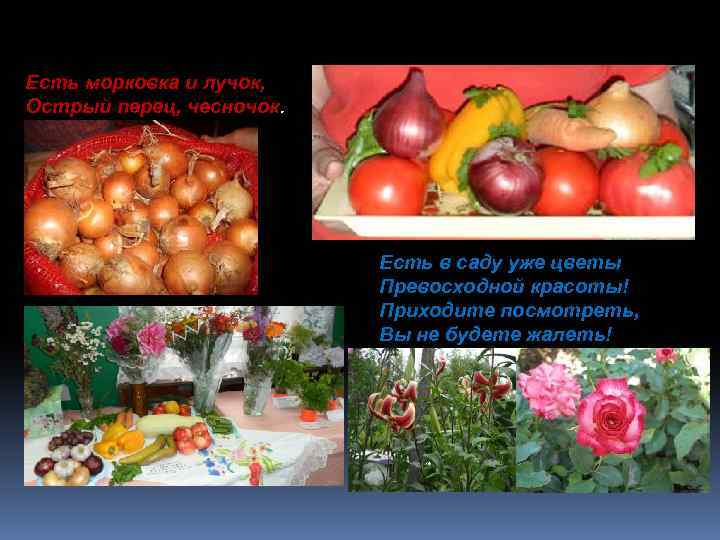 Есть морковка и лучок, Острый перец, чесночок. Есть в саду уже цветы Превосходной красоты!