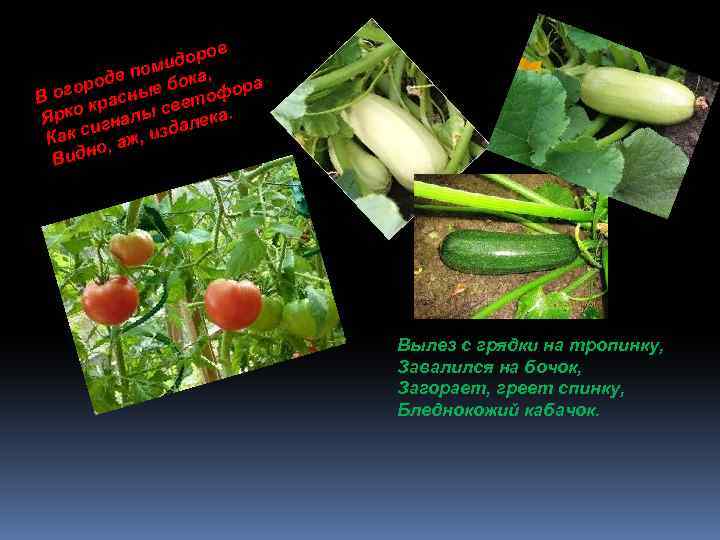 в доро ми е по бока, од огор асные тофора В е кр рко