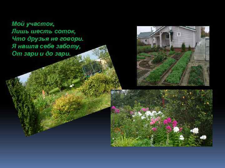 Мой участок, Лишь шесть соток, Что друзья не говори. Я нашла себе заботу, От