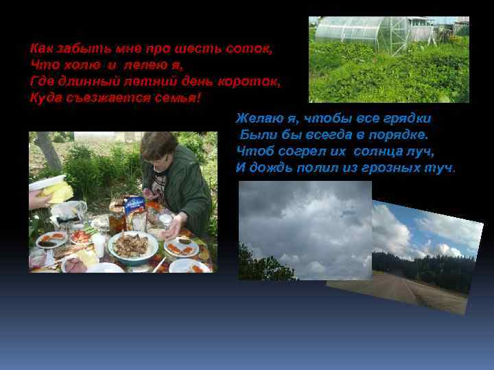 Как забыть мне про шесть соток, Что холю и лелею я, Где длинный летний