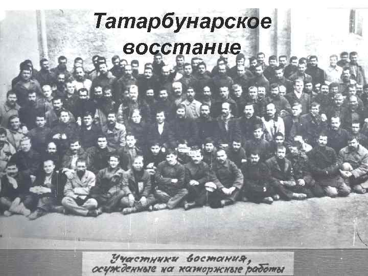 Татарбунарское восстание 