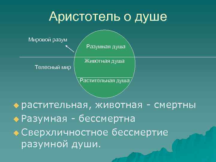 Аристотель о душе Мировой разум Разумная душа Животная душа Телесный мир Растительная душа u