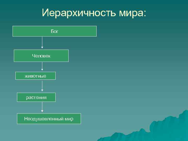 Иерархичность мира: Бог Человек животные растения Неодушевленный мир 