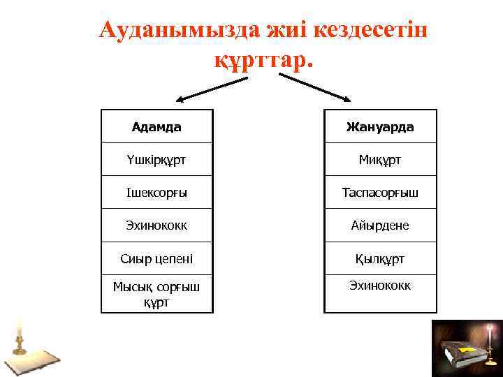 Ауданымызда жиі кездесетін құрттар. Адамда Жануарда Үшкірқұрт Миқұрт Ішексорғы Таспасорғыш Эхинококк Айырдене Сиыр цепені