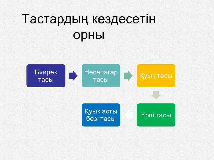 Тастардың кездесетін орны Бүйрек тасы Несепағар тасы Қуық асты безі тасы Үрпі тасы 