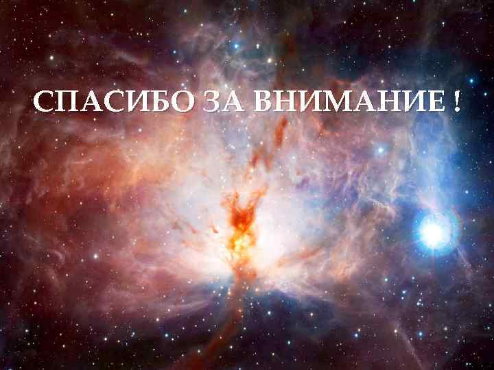 СПАСИБО ЗА ВНИМАНИЕ ! 