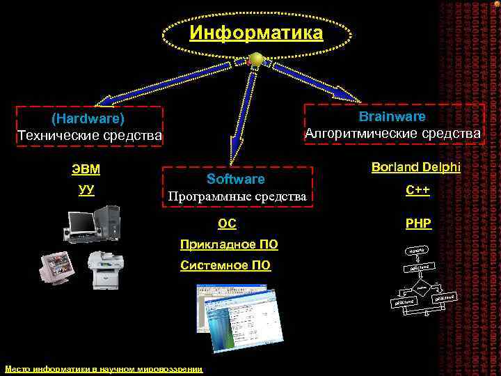 Информатика Brainware Алгоритмические средства (Hardware) Технические средства ЭВМ УУ Software Программные средства Borland Delphi