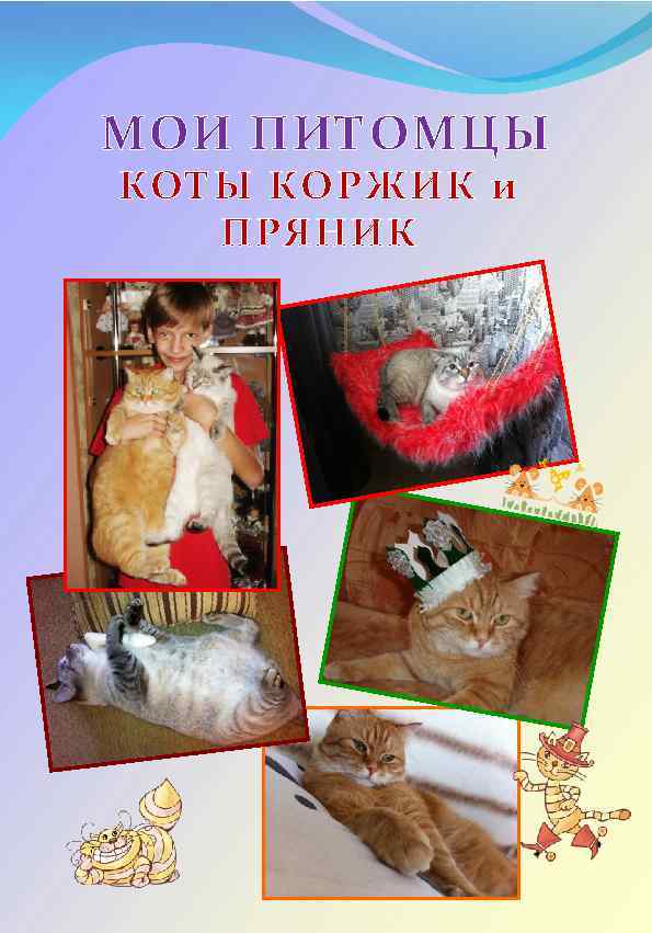 МОИ ПИТОМЦЫ КОТЫ КОРЖИК и ПРЯНИК 