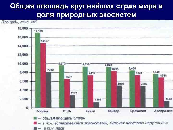 Общая площадь крупнейших стран мира и доля природных экосистем 