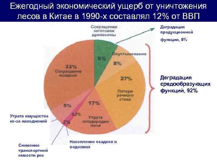 Ежегодный экономический ущерб от уничтожения лесов в Китае в 1990 -х составлял 12% от