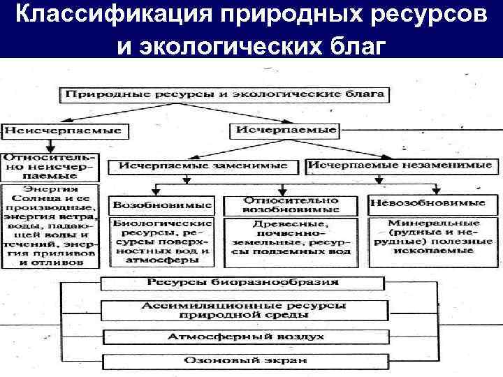 Классификация природных ресурсов и экологических благ 