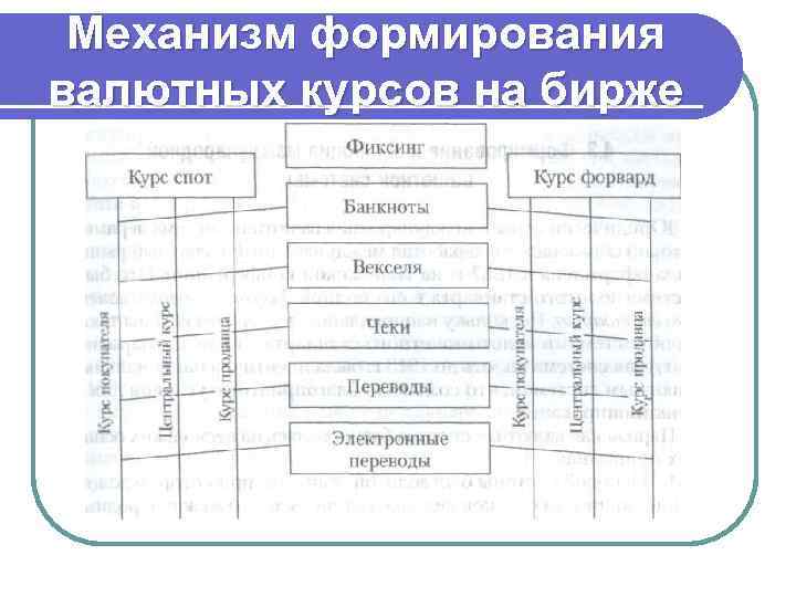 Механизм формирования валютных курсов на бирже 