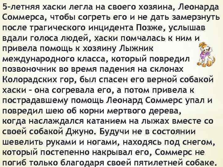 5 -летняя хаски легла на своего хозяина, Леонарда Соммерса, чтобы согреть его и не