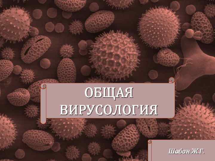 ОБЩАЯ ВИРУСОЛОГИЯ Шабан Ж. Г. 