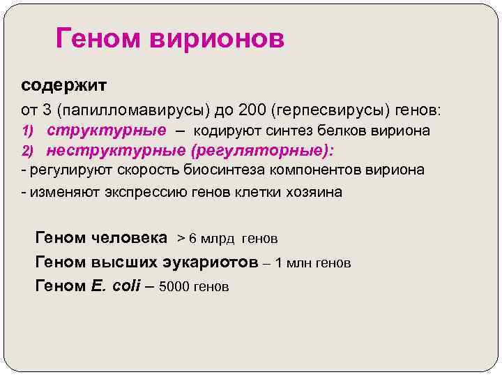Геном вирионов содержит от 3 (папилломавирусы) до 200 (герпесвирусы) генов: 1) структурные – кодируют