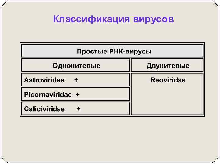 Классификация вирусов 