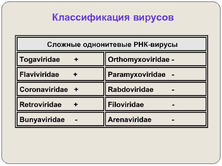 Классификация вирусов 