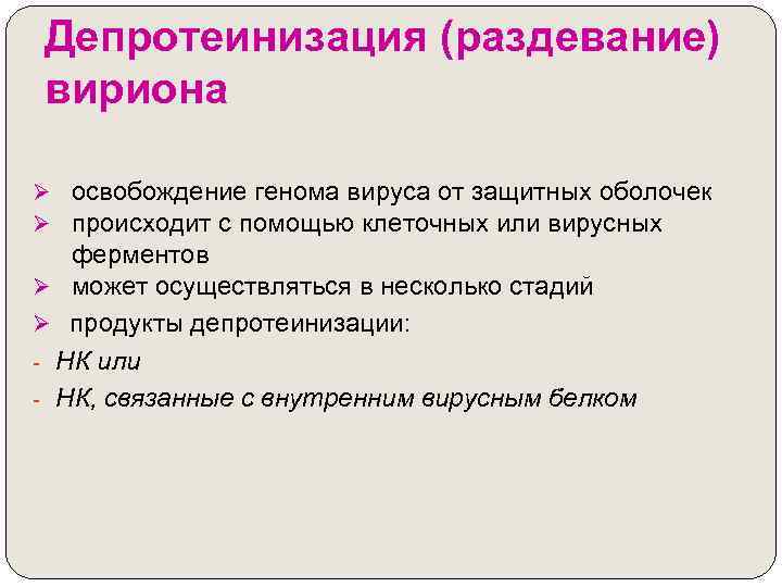 Депротеинизация (раздевание) вириона Ø освобождение генома вируса от защитных оболочек Ø происходит с помощью