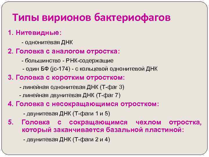 Типы вирионов бактериофагов 1. Нитевидные: - однонитевая ДНК 2. Головка с аналогом отростка: -