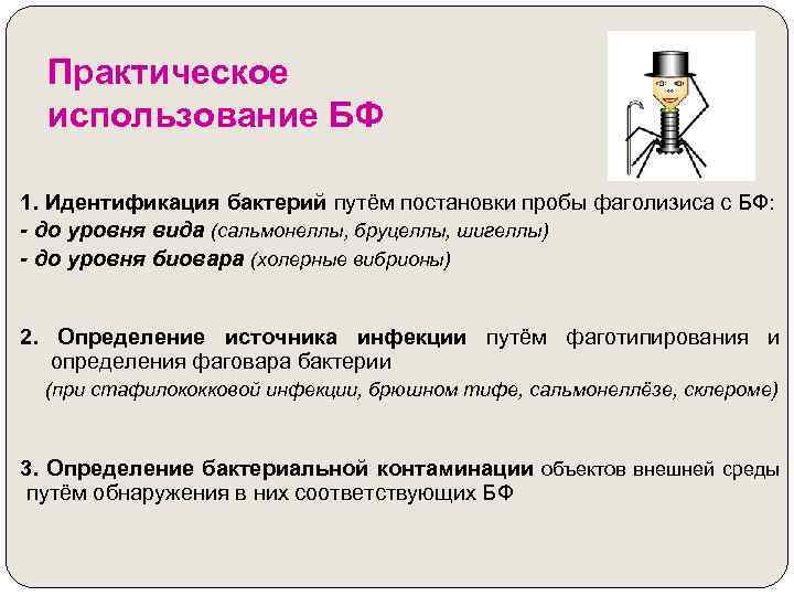 Практическое использование БФ 1. Идентификация бактерий путём постановки пробы фаголизиса с БФ: - до