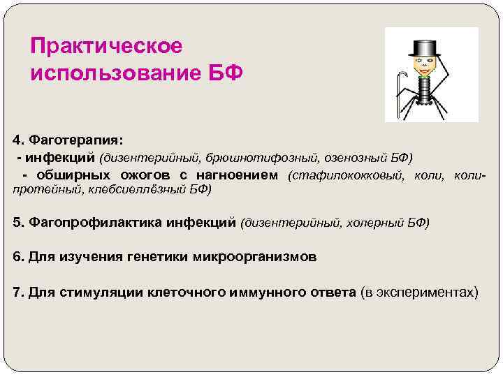 Практическое использование БФ 4. Фаготерапия: - инфекций (дизентерийный, брюшнотифозный, озенозный БФ) - обширных ожогов
