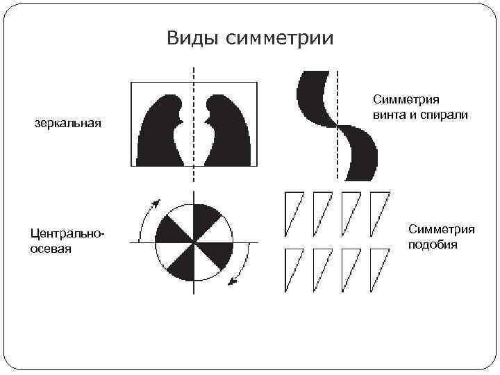 Виды симметрии зеркальная Центральноосевая Симметрия винта и спирали Симметрия подобия 