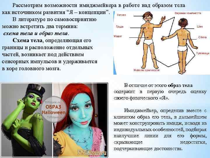 Рассмотрим возможности имиджмейкера в работе над образом тела как источником развития “Я – концепции”.