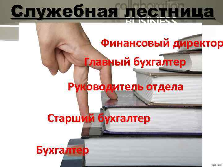 Служебная лестница Финансовый директор Главный бухгалтер Руководитель отдела Старший бухгалтер Бухгалтер 