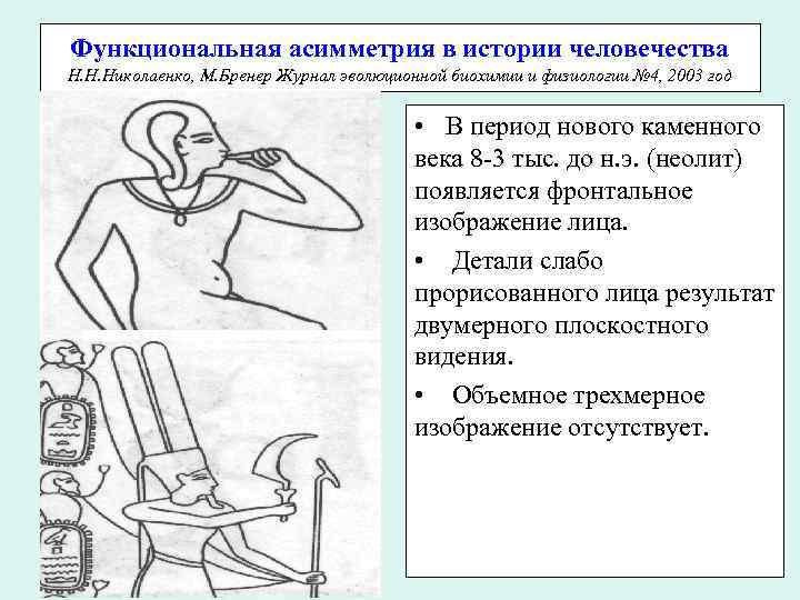 Функциональная асимметрия в истории человечества Н. Н. Николаенко, М. Бренер Журнал эволюционной биохимии и