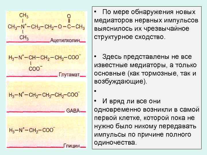  • По мере обнаружения новых медиаторов нервных импульсов выяснилось их чрезвычайное структурное сходство.