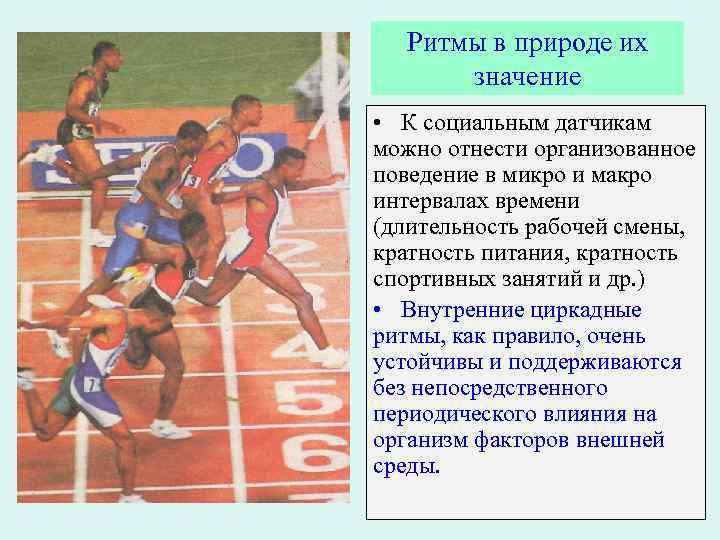 Ритмы в природе их значение • К социальным датчикам можно отнести организованное поведение в