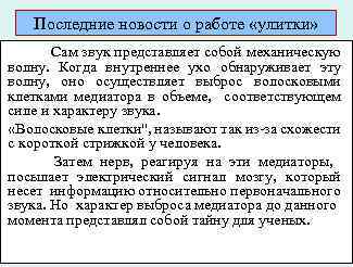 Последние новости о работе «улитки» Сам звук представляет собой механическую волну. Когда внутреннее ухо