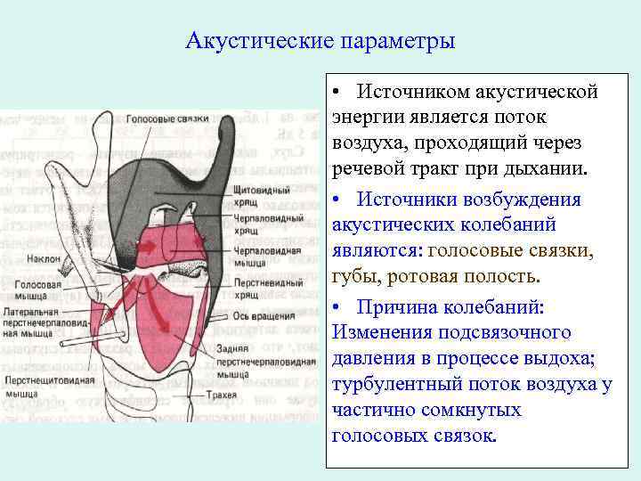 Акустические параметры • Источником акустической энергии является поток воздуха, проходящий через речевой тракт при