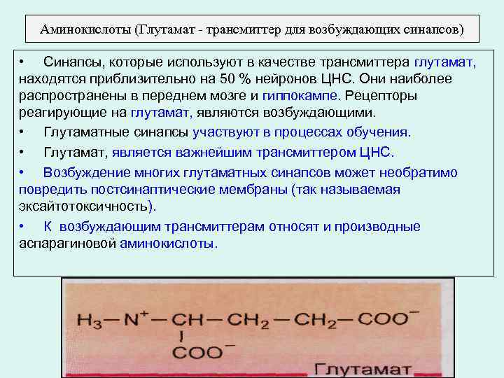 Аминокислоты (Глутамат - трансмиттер для возбуждающих синапсов) • Синапсы, которые используют в качестве трансмиттера