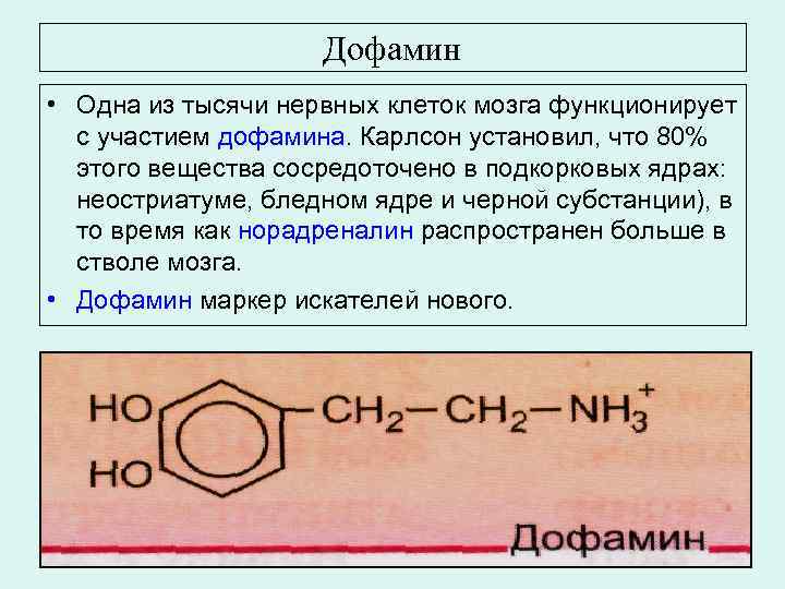 Дофамин • Одна из тысячи нервных клеток мозга функционирует с участием дофамина. Карлсон установил,