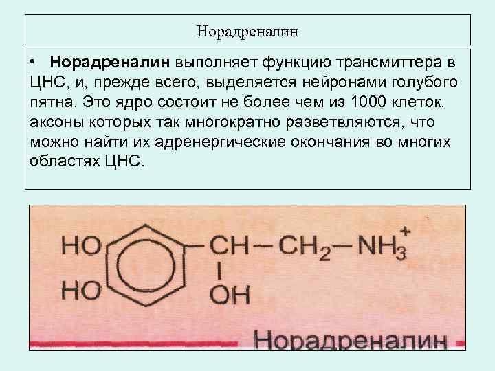 Норадреналин это