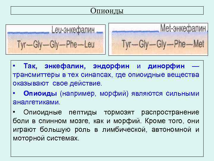 Опиоиды • Так, энкефалин, эндорфин и динорфин — трансмиттеры в тех синапсах, где опиоидные