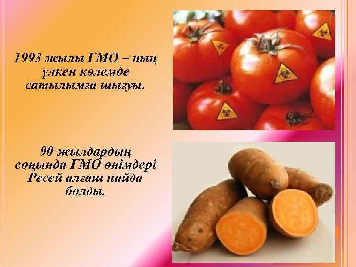 Гмо зияны. ГМО. ГМО дегеніміз не. Польза ГМО. Гендік инженерия дегеніміз не.